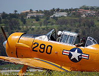 Click here for the static gallery