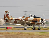 Click here for the static gallery