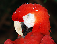 Click here for the non-aviation section