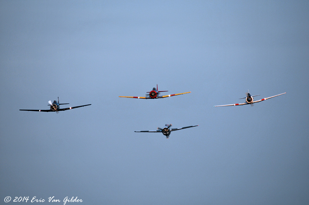 Texan/Martlett formation