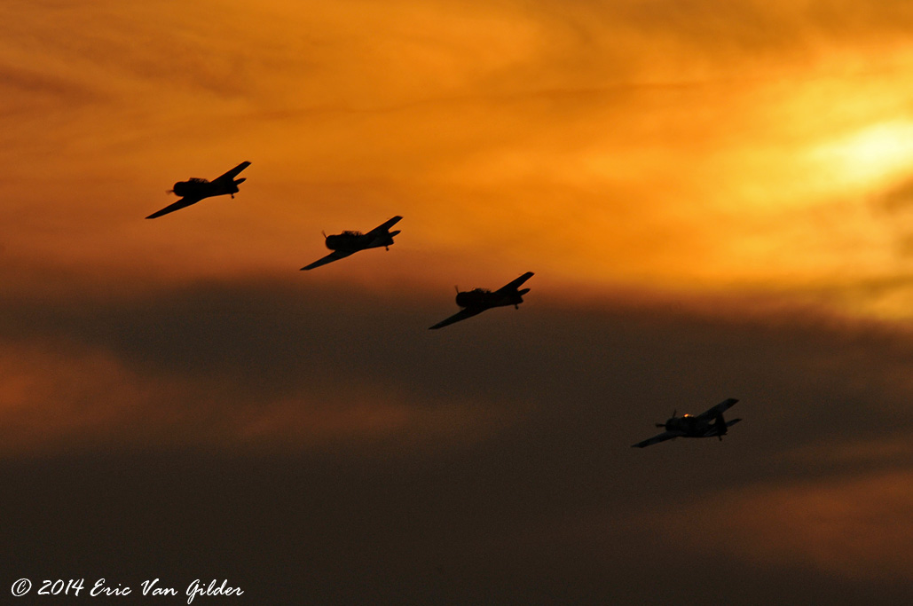 Texan/Martlett formation