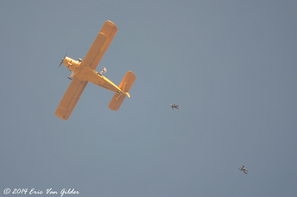 Just in Time skydivers