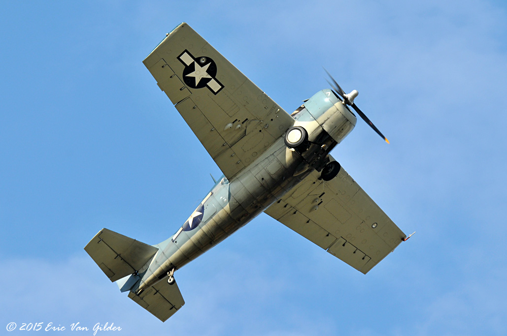 F4F Wildcat