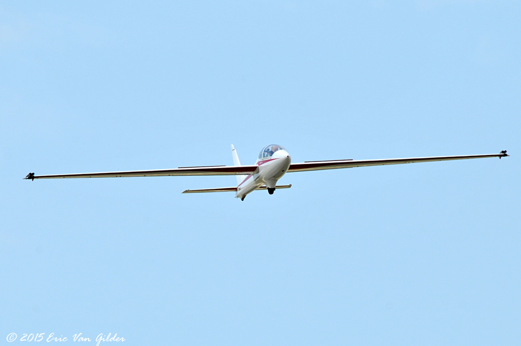 Glider- Luca Bertossio
