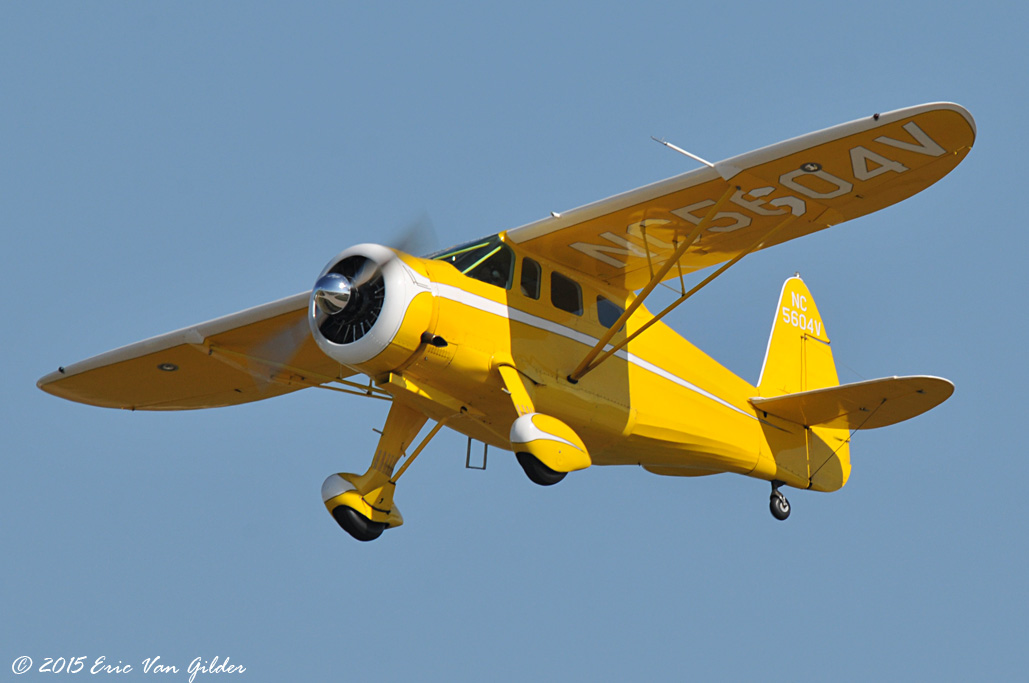 Howard DGA