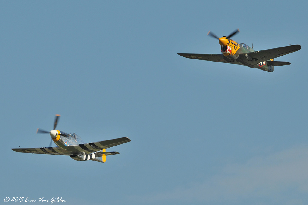 P-51 with P-40
