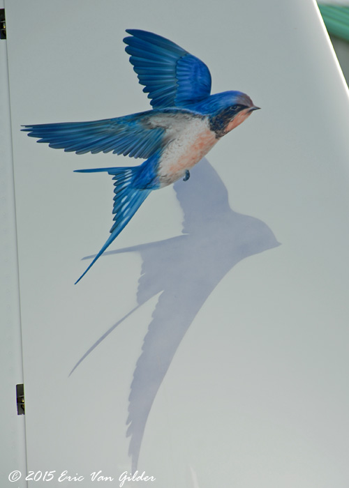 Tail art