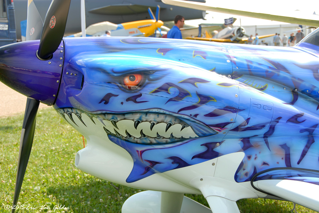 aircraft paint