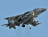 Click here for the Harrier gallery