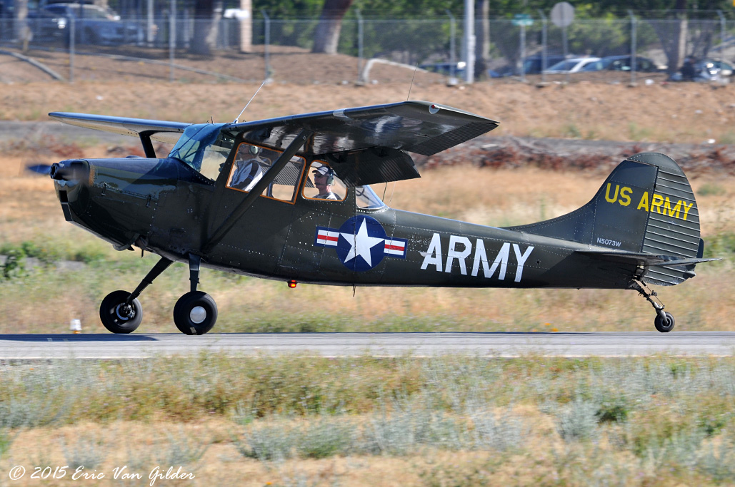 Bird Dog
