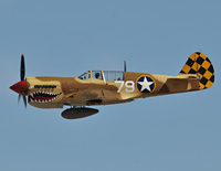 Click here for the P-40 Warhawk gallery