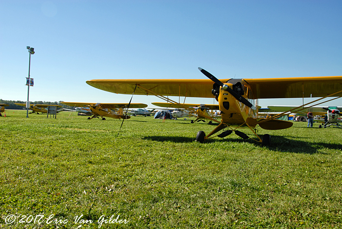 Piper Cub