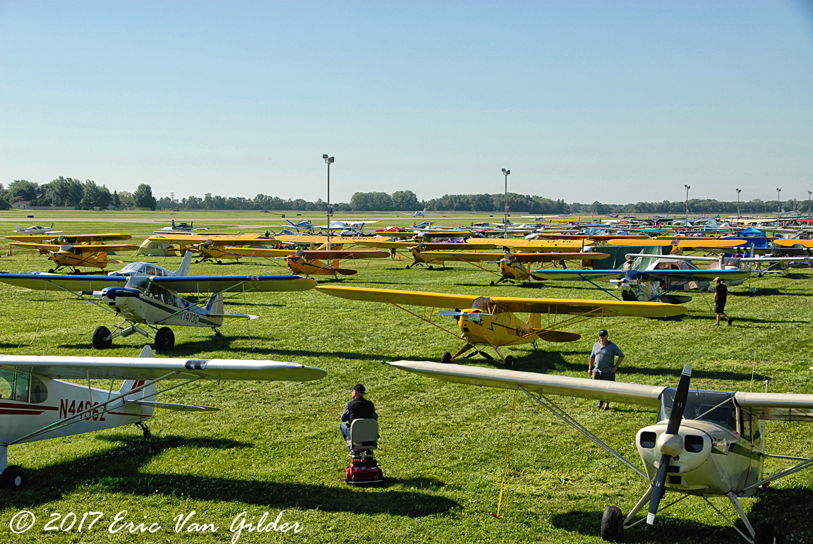 Piper Cub