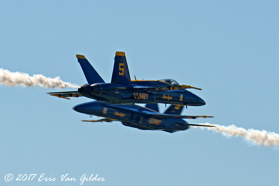 US Navy Blue
        Angels