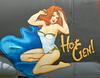 Click here
                      for the Nose Art gallery