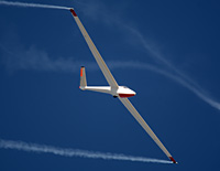 Click here
                    for the Salto Sailplane gallery
