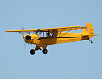 Click here
                      for the Piper Cub gallery