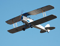 Click here for the Tiger Moth gallery