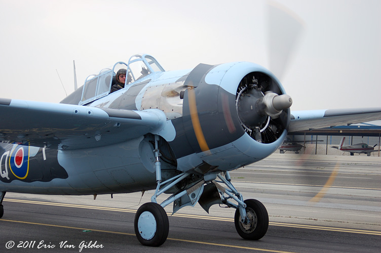 Grumman Martlett