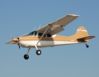 Click here for the Miscellaneous Photos gallery