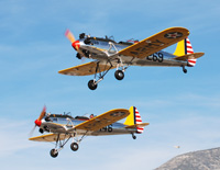 Click here for the PT-22 Recruit gallery
