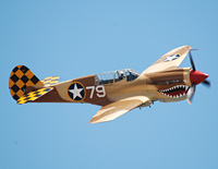 Click here for the P-40 Warhawk gallery