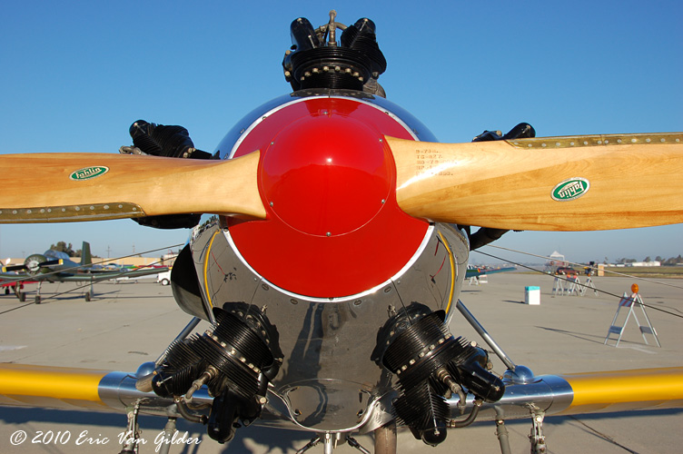 PT-22 Recruit