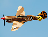 Click here for the P-40 Warhawk gallery