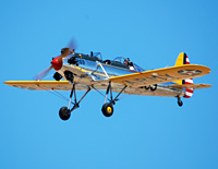 Click here for the PT-22 Recruit gallery