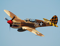 Click here for the P-40 Warhawk gallery