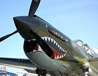 Click here for the P-40 Warhawk gallery