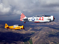 Click here for the gallery of Karen Newcomb's pictures