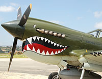 Click here for the P-40 Warhawk gallery