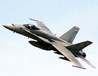 Click here for the F-18 Hornet gallery