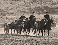 Click here for the mounted and cavalry gallery