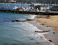 Click here for the Monterey Bay and Beaches gallery