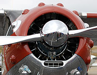 Click here for the closeup gallery