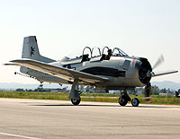 click here for the trainer section