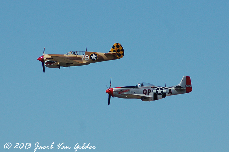 P-40 Warhawk and P-51 Mustang