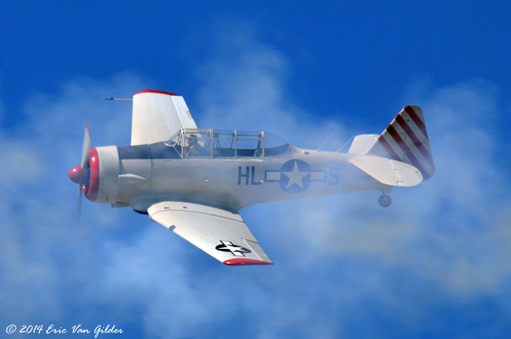 Condor Squadron T-6 Texans