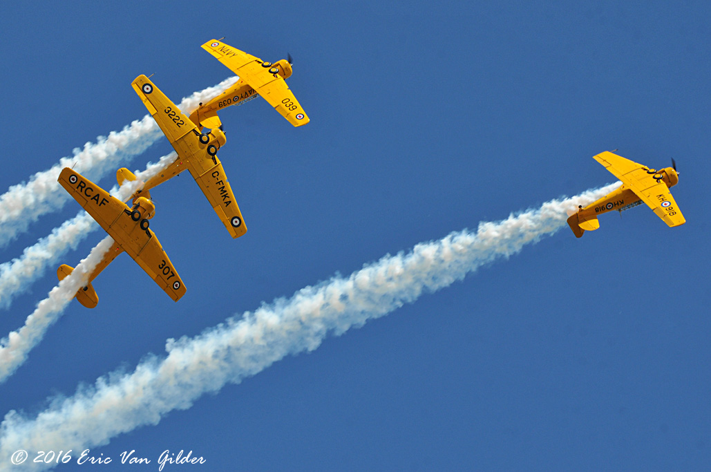 Canadian T-6 Team