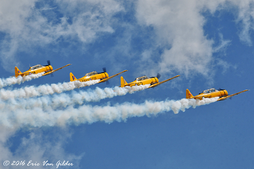 Canadian T-6 Team