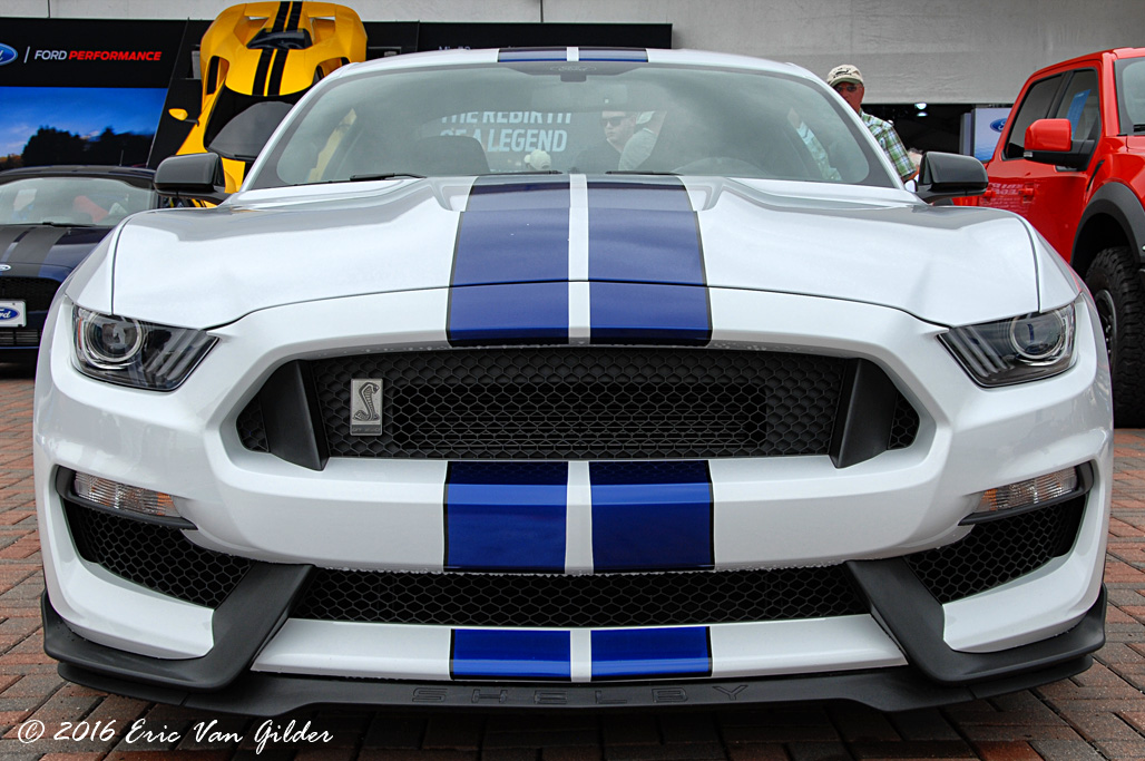 Ford Shelby Mustang