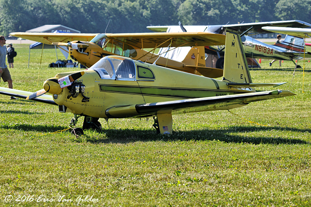 Mooney Mite