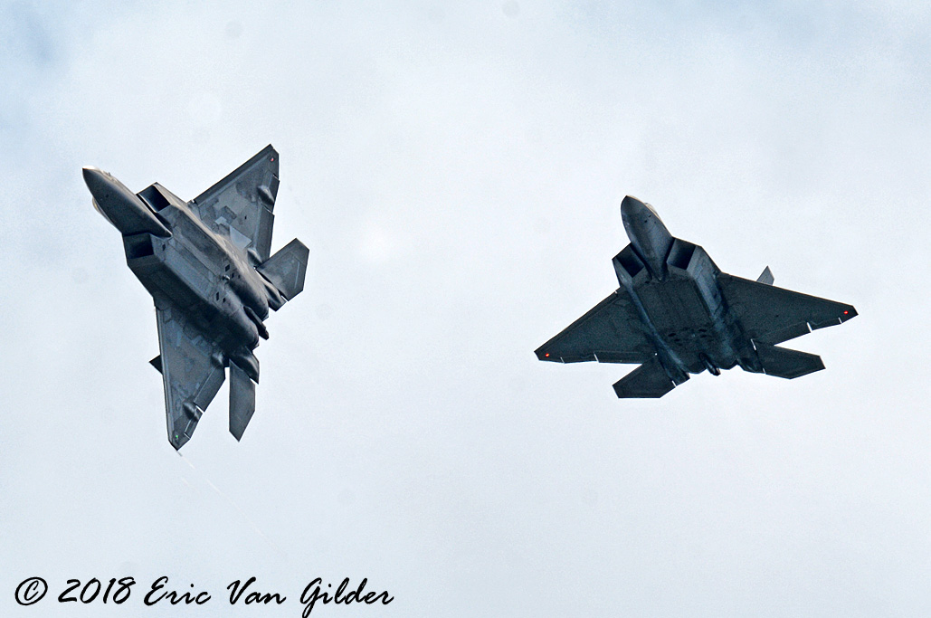 F-22 Raptor
