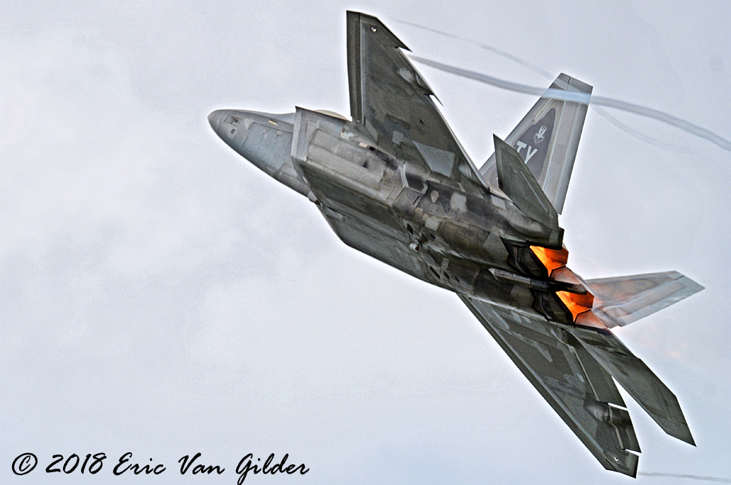 F-22 Raptor