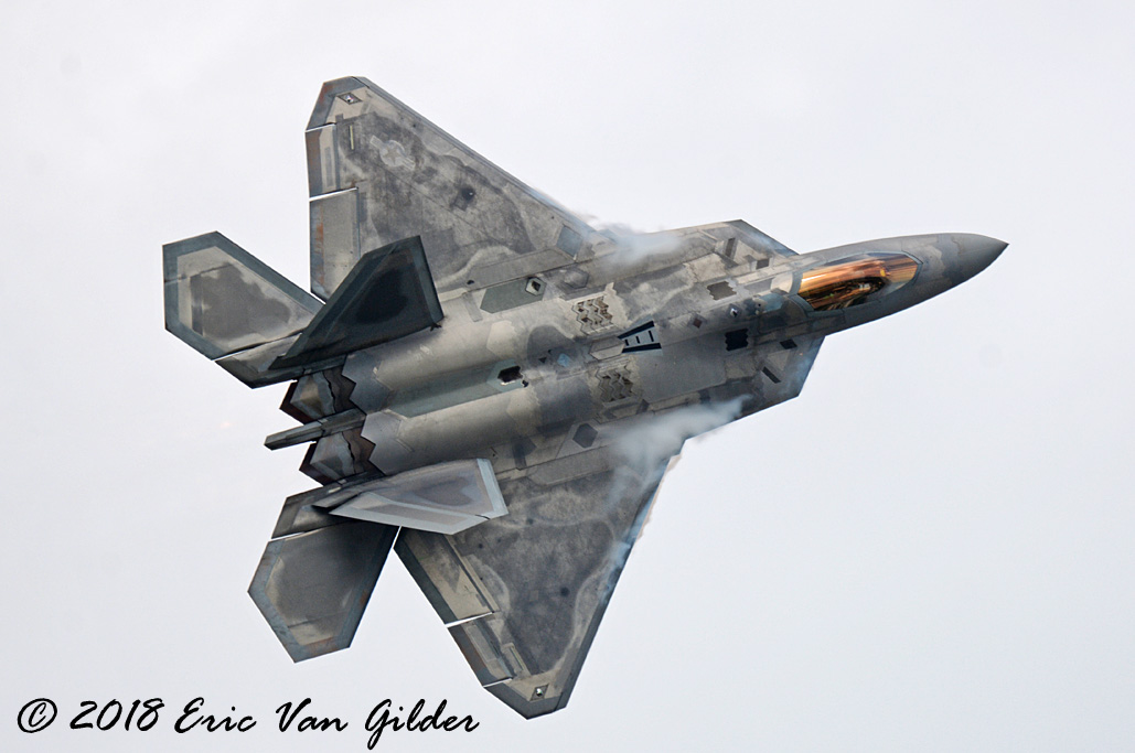 F-22 Raptor