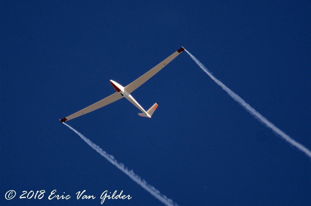 Salto Sailplane