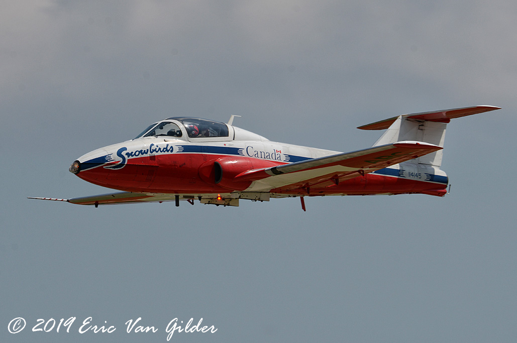 Canadian Snowbird
            that stopped by on Thursday