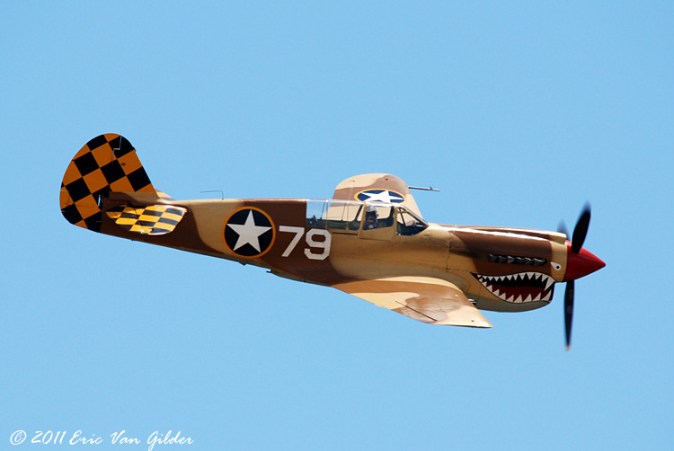 P40 Warhawk